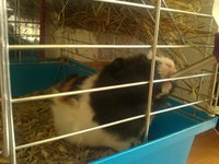 20130620180.jpg
