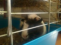 2013062018y.jpg