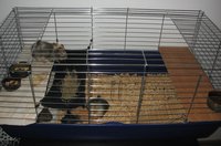 IMG_1526.JPG