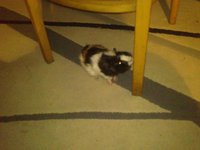 20130629353.JPG