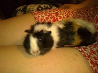 20130629364.JPG