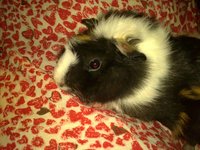 20130629365.JPG