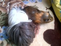 IMG-20130701-00987.jpg