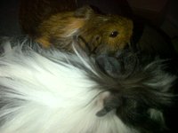 IMG-20130708-01093.jpg