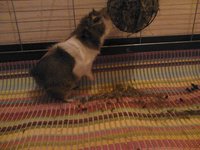 DSC_1412.jpg