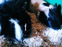 2013-07-16 13.56.11.jpg