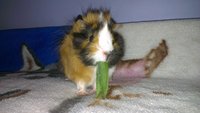 IMAG0056.jpg