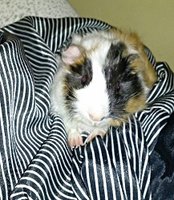 IMG_20130902_113903-1.jpg