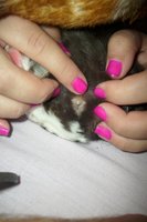 IMG_20130906_105647.jpg