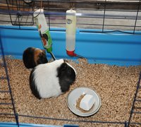 DSC_0392.JPG