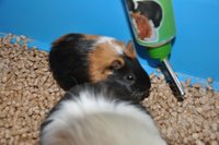 DSC_0396.JPG