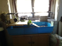 20130928_105540979155256.jpg