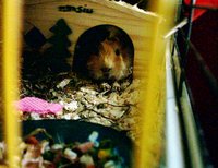 IMAGE0001.JPG