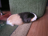 PICT0146.JPG