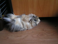 PICT0147.JPG