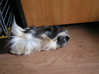 PICT0148.JPG