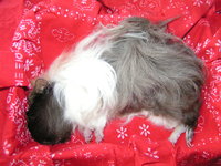 PICT0151.JPG