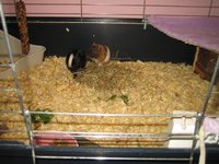 IMG_7553.jpg