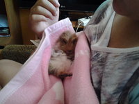 20130907_151927.jpg