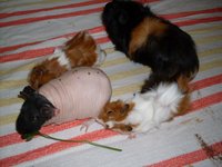 SDC11569.JPG