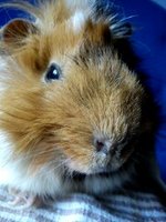DSC00135_mini.jpg