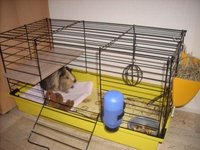 DSCN0150.JPG