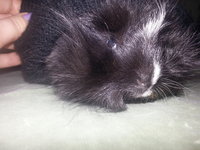 20131224_123504.jpg