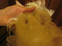 IMG_0679.jpg