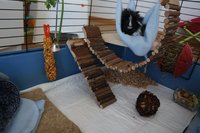DSC03573.JPG