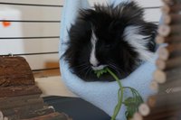 DSC03592.JPG