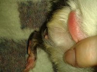 20140201_224601.jpg