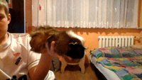 zdjęcie009.jpg