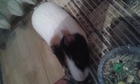 20140217_164031.jpg