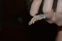 DSC_0380.JPG