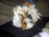 20140214_173746.jpg
