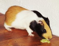 DSCF1697.JPG