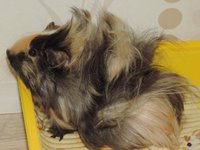 DSCN0422.jpg