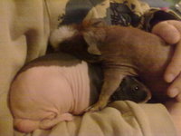 02122010126.jpg