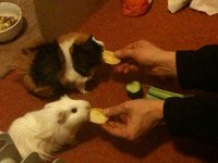 IMG_0018.jpg