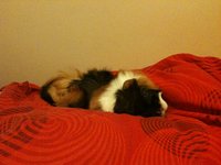 IMG_0025.jpg