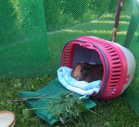 chillout.jpg