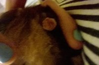 WP_20140816_002.jpg