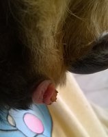 WP_20140817_002.jpg
