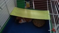 20140824_172335.jpg