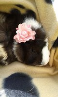 20140906_141521.jpg
