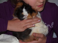 P9262080.JPG (103.36 KiB) Przejrzano 2643 razy P9262080.JPG