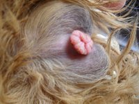 SDC17148.JPG (242.57 KiB) Przejrzano 1433 razy SDC17148.JPG