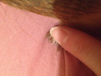 IMG_1847.JPG