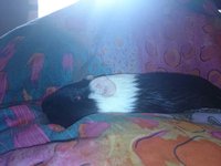 mms_img-1856288519.jpg