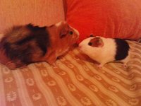 DSC01055.JPG